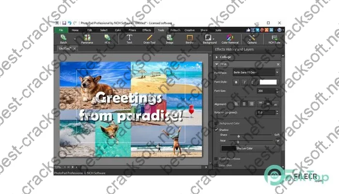 Nch Photopad Image Editor Professional Crack
